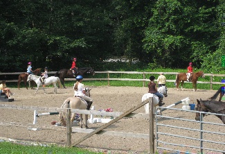 Flying Change Stables